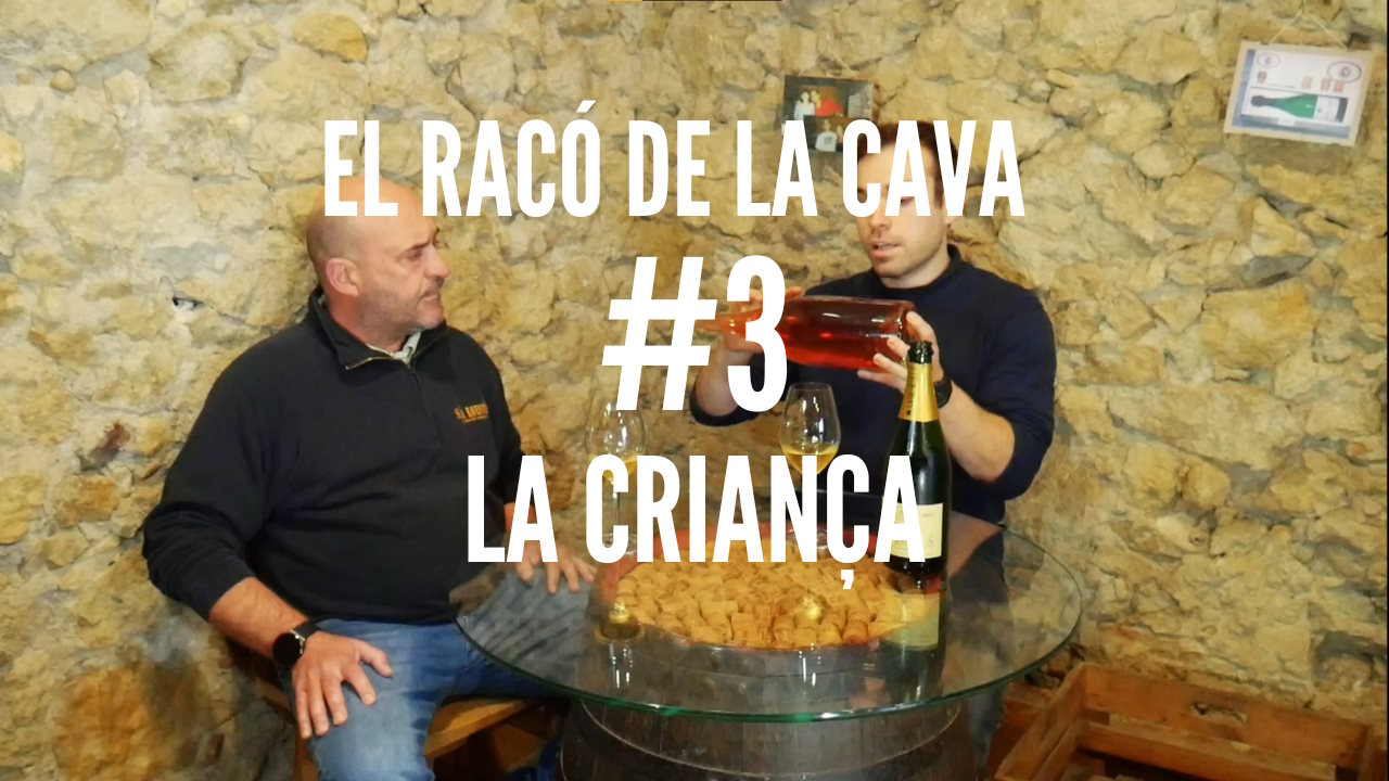 You are currently viewing El Racó de Solà Raventós #3: La Criança – Podcast Cava