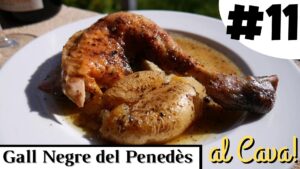 Lee más sobre el artículo Gallo del Penedès al Cava !